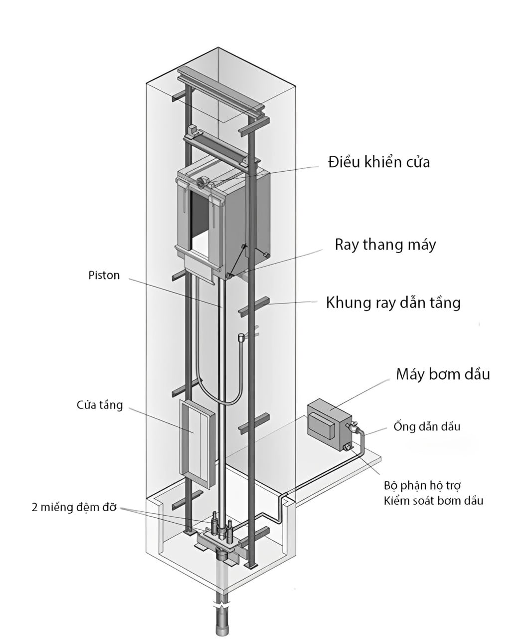 Thang máy Thủy lực